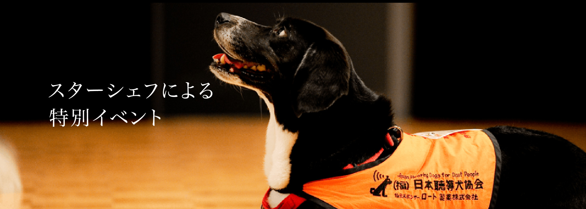 スターシェフによる特別イベント